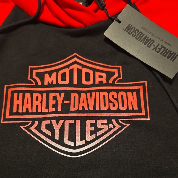 Harley-Davidson Hoodie - Picture 3 of 5